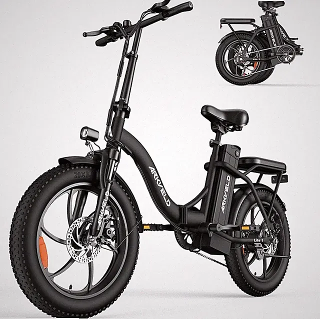 5 Speed 750W Motor 28MPH Max 720WH Ebike 30 Miles Range Folding Electric Bike